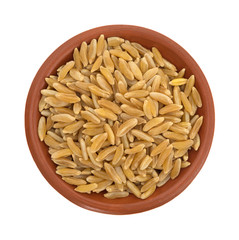 Small bowl filled with Khorasan wheat on a white background.