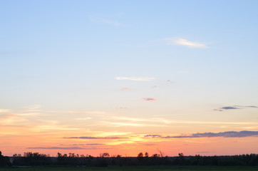 Landscape, sunny dawn in a field     
