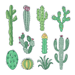 Cactus outline vector illustrations. Succulents plants doodle clipart