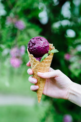 hand holding waffle cone with blueberry ice cream