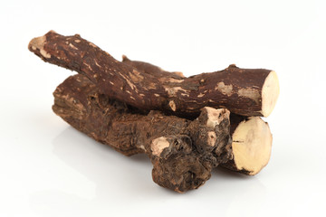 Trigonostemon reidioides Kurz Craib, the properties of the root is boiled with water. Tuberculosis and other help.
