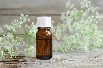 Small  bottle of natural cosmetic (essential) aroma oil