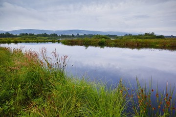Moorlandschaft