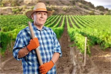 Fototapeta premium Gardening.