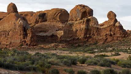 Fototapeta premium Parade of Elephants at Arches National Park in Moab Utah.