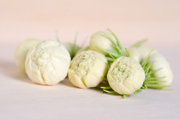 Jasmine flowers isoalted on wooden board background