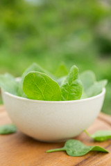 Bowl of fresh spinach leaves
