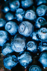 Blueberries close up