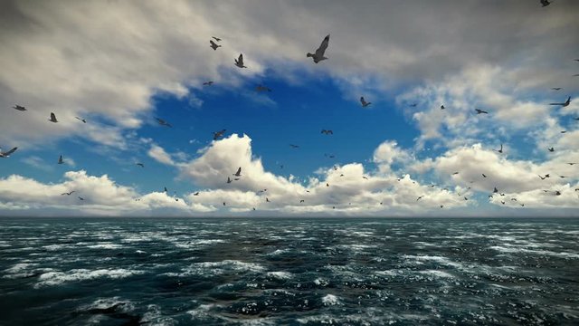Cruise ship sailing, timelapse afternoon clouds and seagulls, sound included