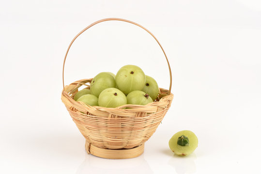Emblic Myrabolan, Malacca Tree, Indian Gooseberry (PHYL-LANTHUS EMBLICA LINN.).