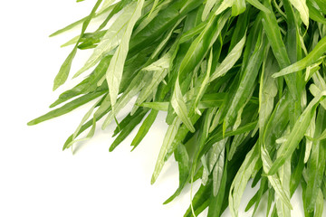 Obraz premium Morning glory zielone warzywo