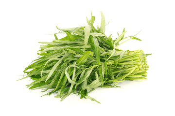 Morning glory green vegetable