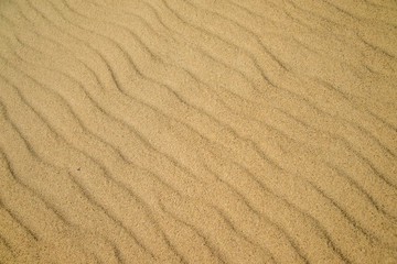 Fototapeta na wymiar Sand eines Strandes mit Formen