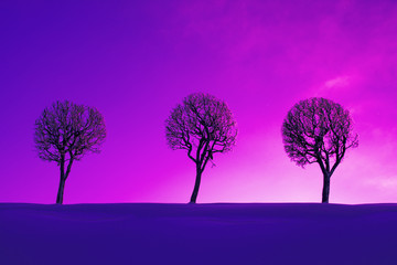 Fototapeta na wymiar row of trees