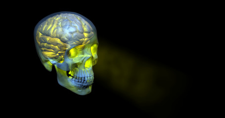 Human Skull glowing transparent yellow with brain inside