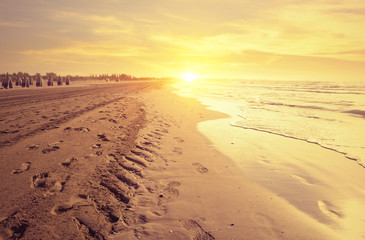 beach and summer landscape 