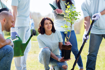 group of volunteers planting tree in park