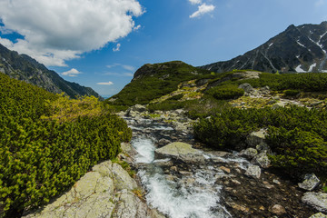 Alpine stream in high mountains