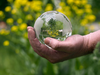 Glass transparent sphere in hand of man on the background color.