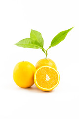 Fresh oranges isolated with leafs on white background