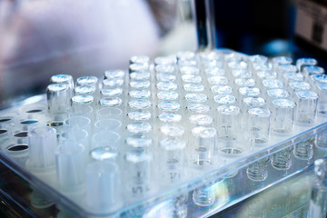 Set of glass tubes for samples.