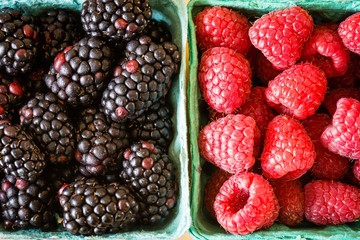 Close up of red raspberries and blackberries in green market containers.