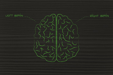 left and right brain illustration
