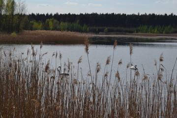 Na Łęgu, Jaworzno © Marta