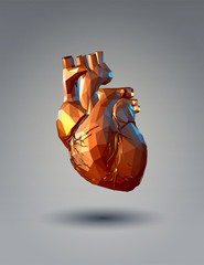 Low poly 3D human heart on gray background