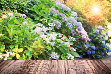 Wooden empty plate with color hydrangea flowers blur background