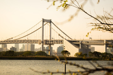 Rainbow Bridge, Tokyo, Japan old vintage filter