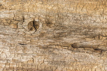 Old natural wooden shabby background close up