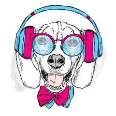 Funny dog wearing headphones, sunglasses and tie. Vector illustration for greeting card, poster, or print on clothes. Funny dog.