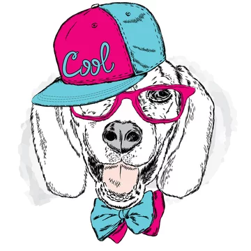 Funny dog wearing a cap and sunglasses . Vector for a card or