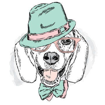 Funny dog with hat and glasses. Vector illustration for greeting cards , posters or prints on clothes . Funny dog.