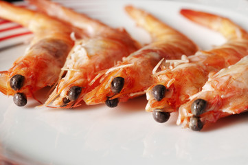 shrimps
