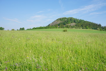 Der schönste Berg Hessens, die Milseburg