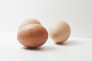 eggs