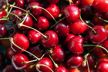 still life of cherries