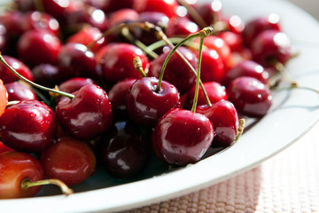 still life of cherries