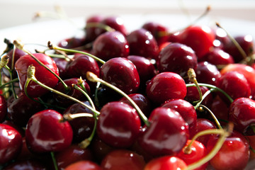 still life of cherries