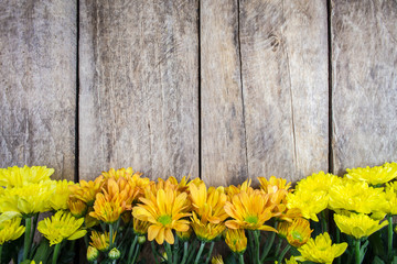 Yellow chrysanthemum flower and wood background