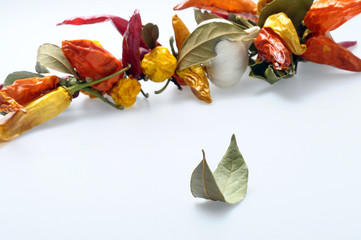 Bay leaf and dried chillies
