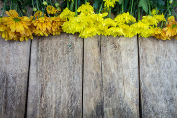 Yellow chrysanthemum flower and wood background