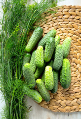 fresh cucumbers on wooden table