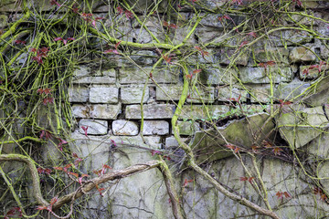 Verwitterte und überwucherte alte Mauer