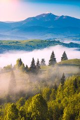 Fototapeta premium Early morning in a foggy valley