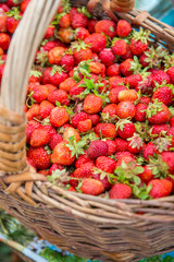 Fototapeta na wymiar strawberries in a basket