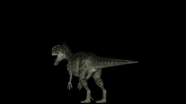 Animation of dinosaur Monolophosaurus gyrating 360 degree on black background