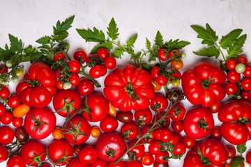 Fresh tomatoes